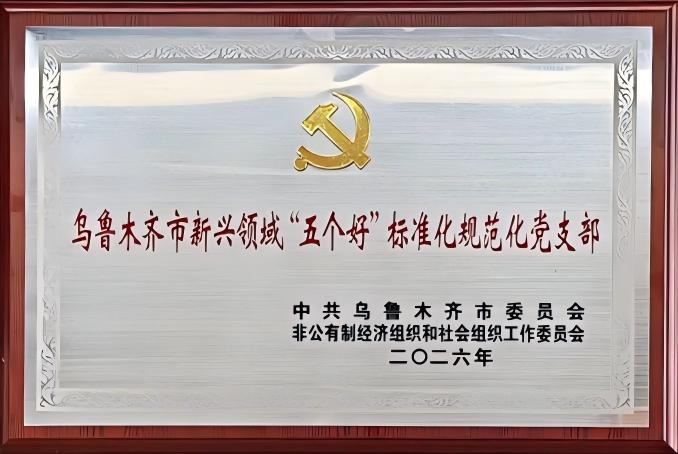 “广汇物流亚中物流职能部门联合党支部获评“五个好”标准化规范化党支部