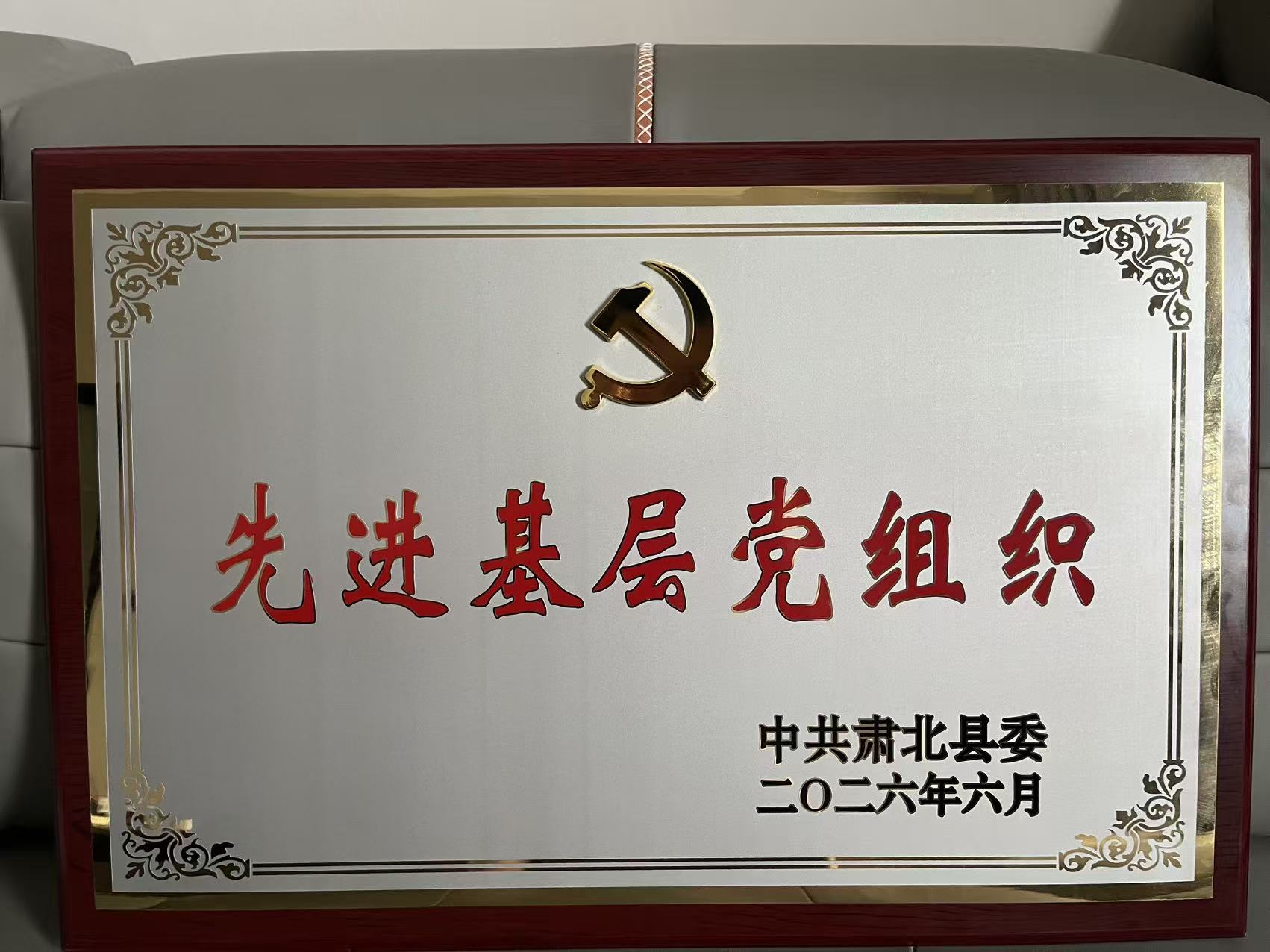 “广汇物流明水物流基地荣获 肃北县“先进基层党组织”称号